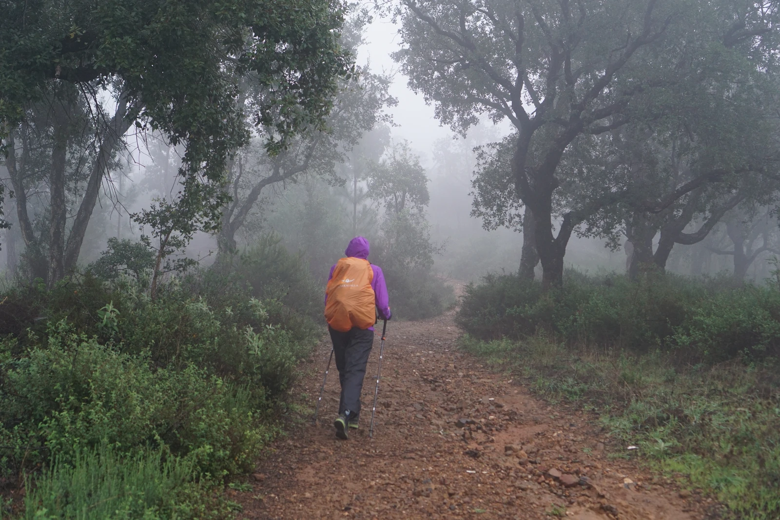 Wanderin mit orangefarbenem Rucksack auf einem nebligen Waldweg in Portugal
