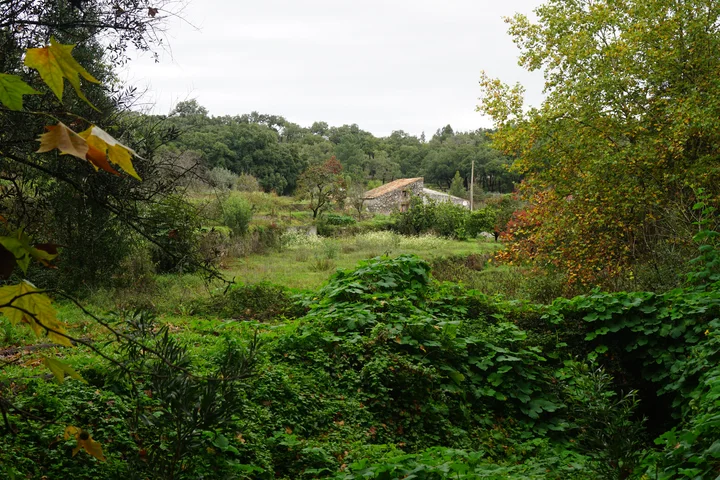 Etappe 5 · 14. November 2014