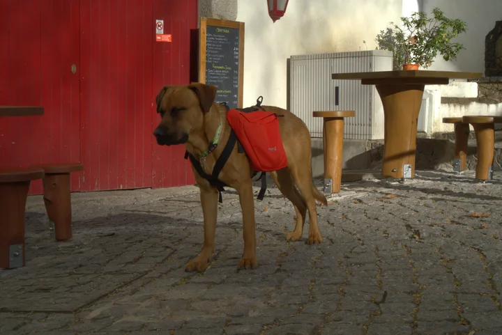 Etappe 7 · 26. Februar 2015