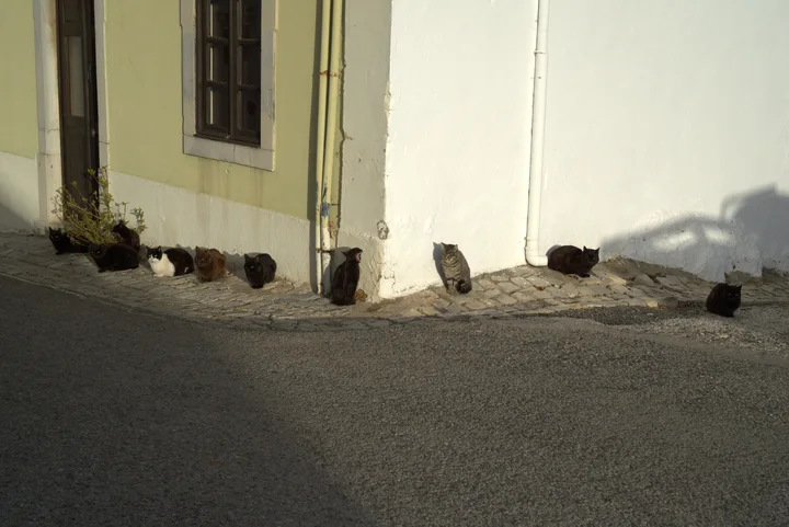 Etappe 12 · 3. März 2015