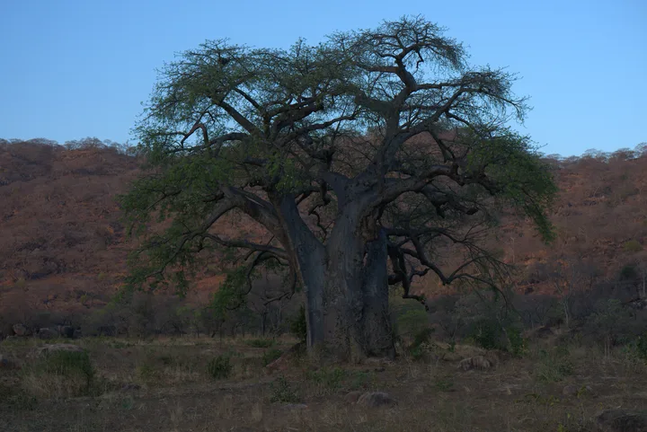 Malawi · 25. Oktober 2018