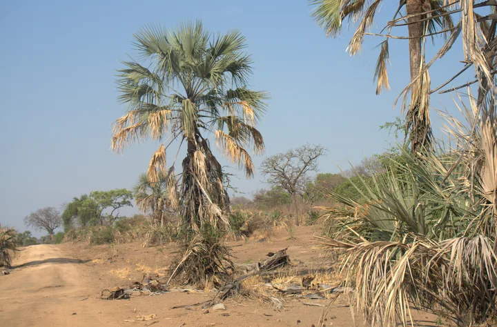 Malawi · 26. Oktober 2018