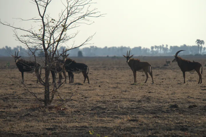 Malawi · 26. Oktober 2018