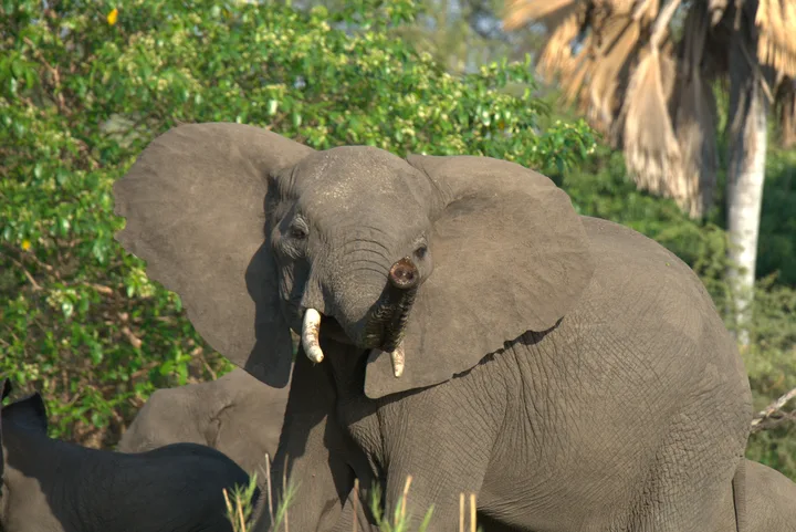 Malawi · 27. Oktober 2018