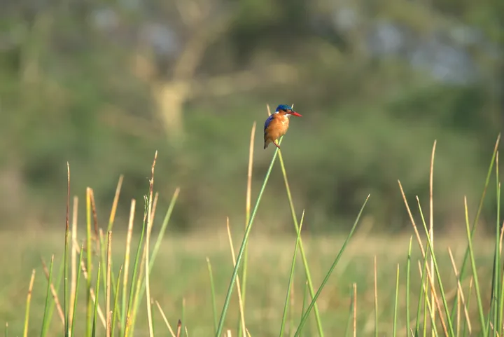 Malawi · 27. Oktober 2018