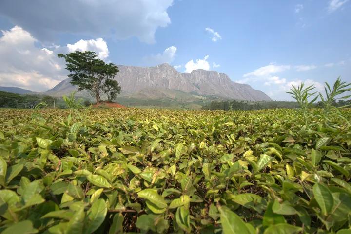 Malawi · 1. November 2018