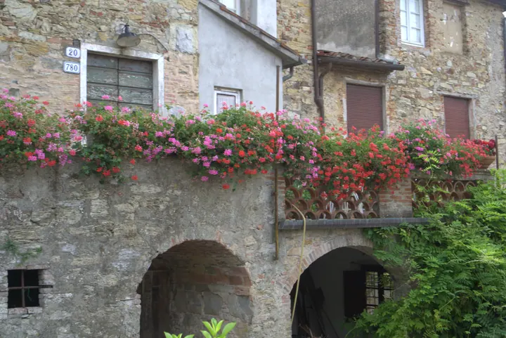 Etappe 51 · Lucca