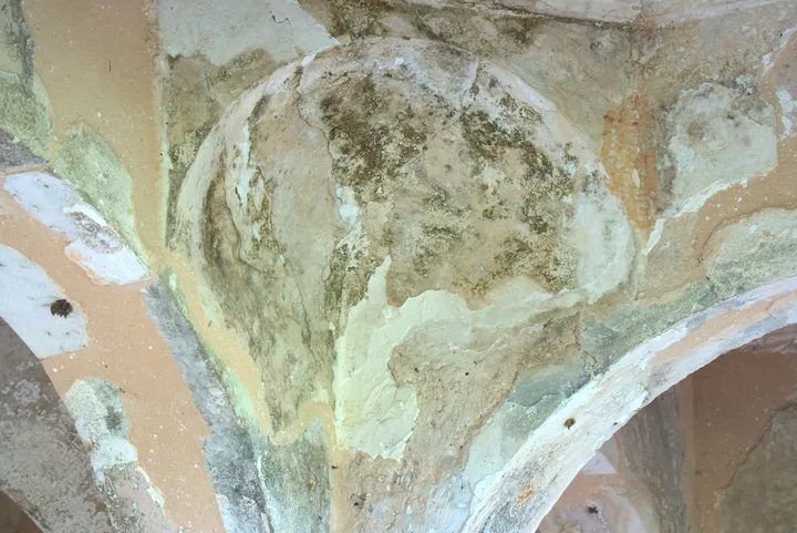 Tansania · 7. März 2019