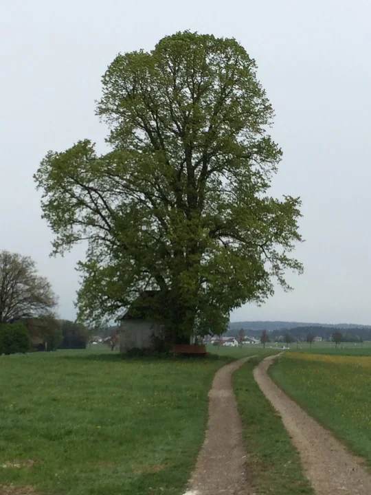Etappe 6 · 15. April 2014