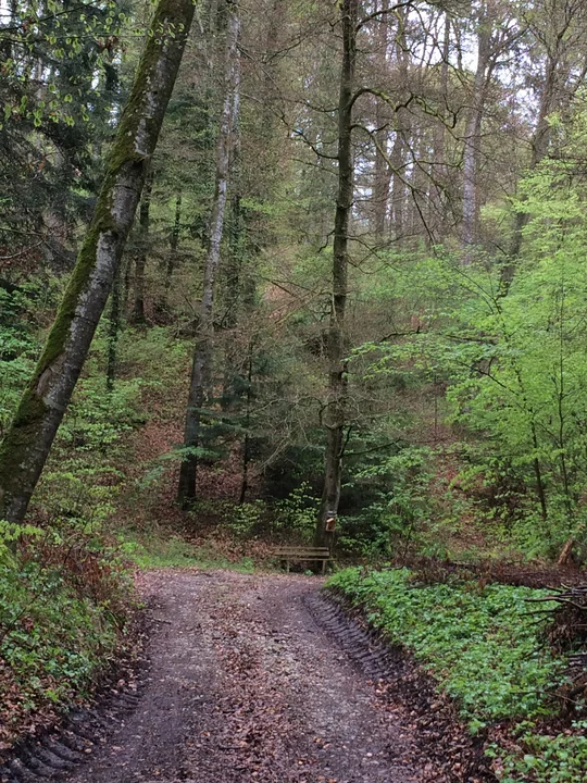 Etappe 6 · 15. April 2014