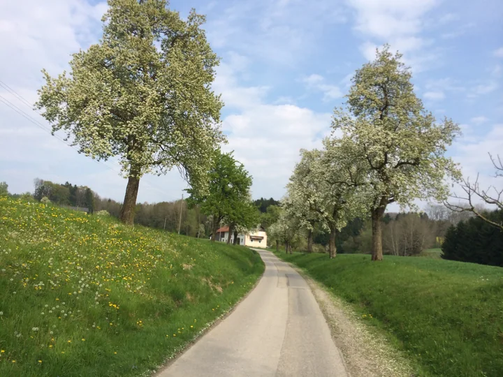 Etappe 10 · 19. April 2014