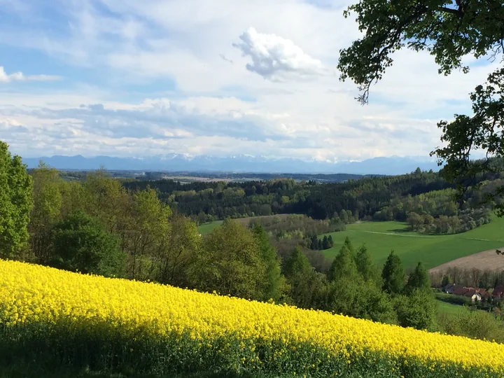 Etappe 12 · 21. April 2014