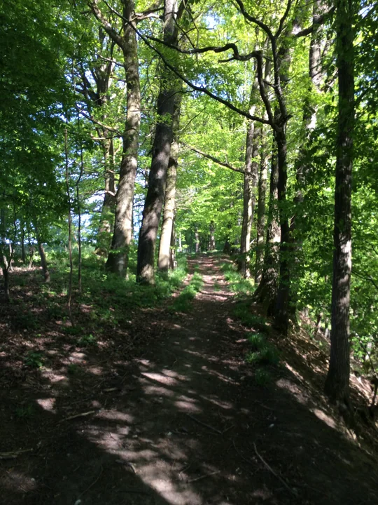 Etappe 12 · 21. April 2014