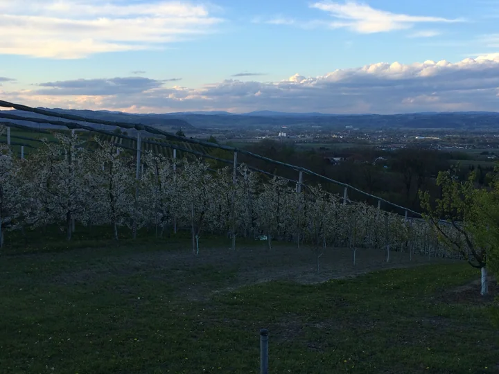 Etappe 12 · 21. April 2014