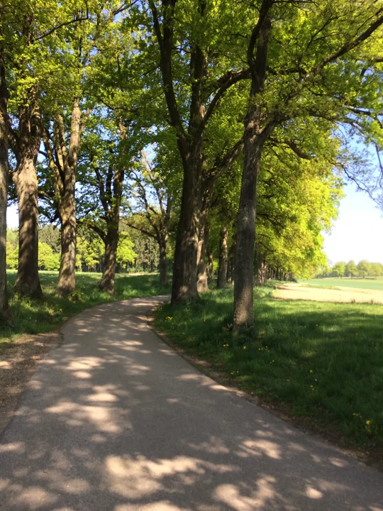 Etappe 16 · 27. April 2014