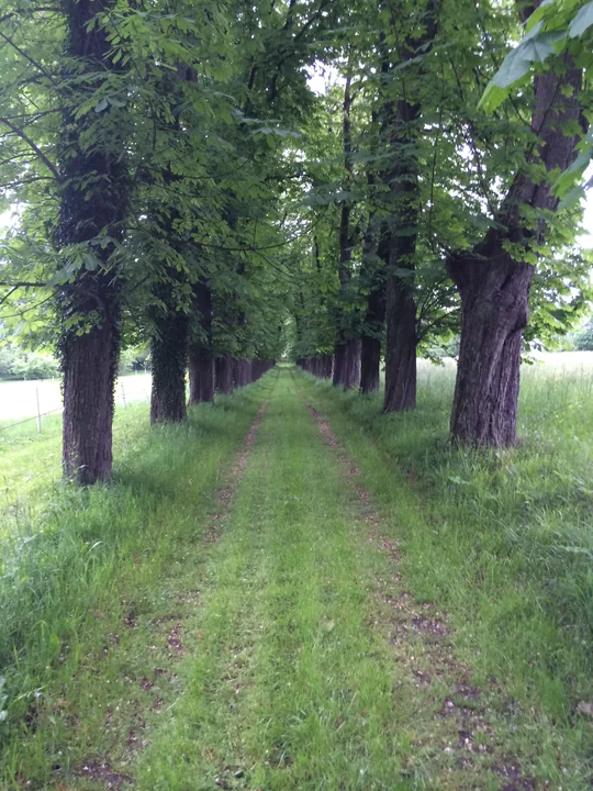Etappe 22 · 11. Mai 2014