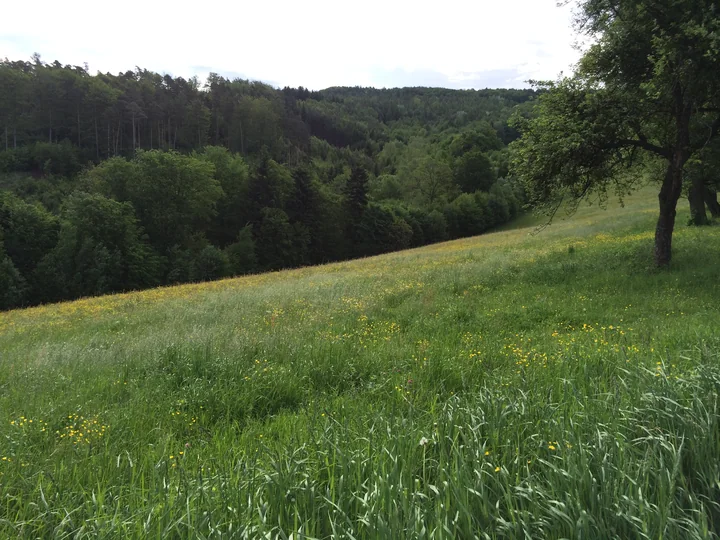 Etappe 23 · 12. Mai 2014