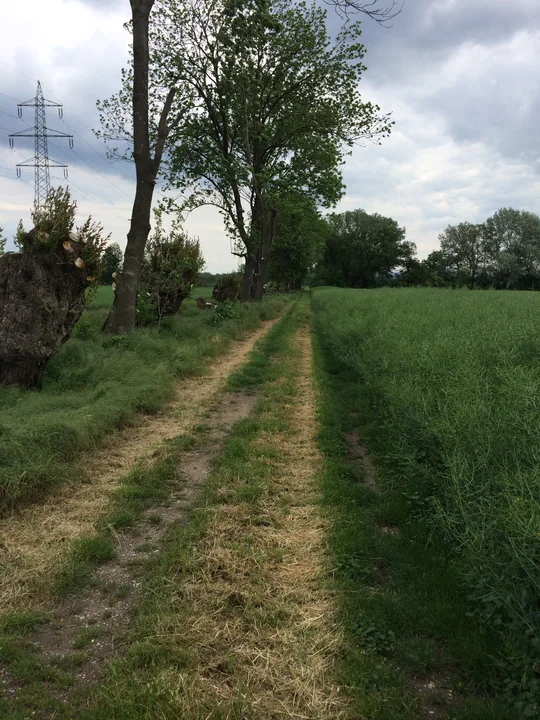 Etappe 25 · 14. Mai 2014