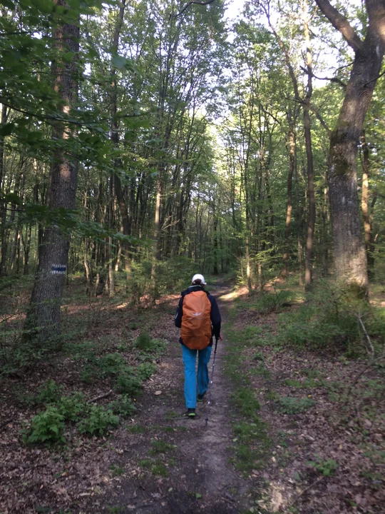 Etappe 25 · 14. Mai 2014