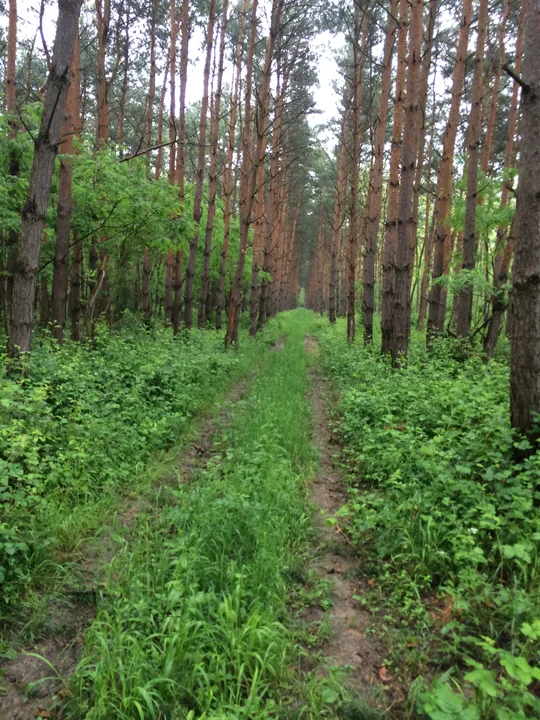 Etappe 29 · 18. Mai 2014