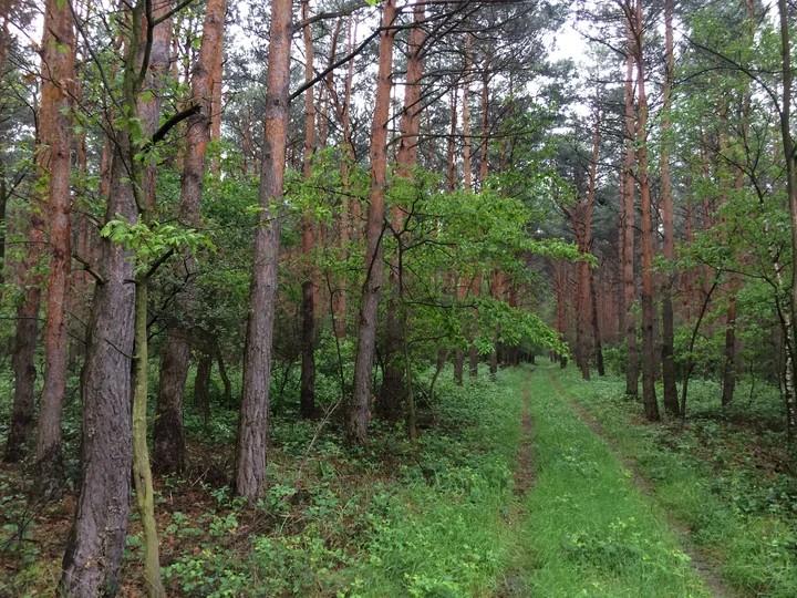 Etappe 29 · 18. Mai 2014