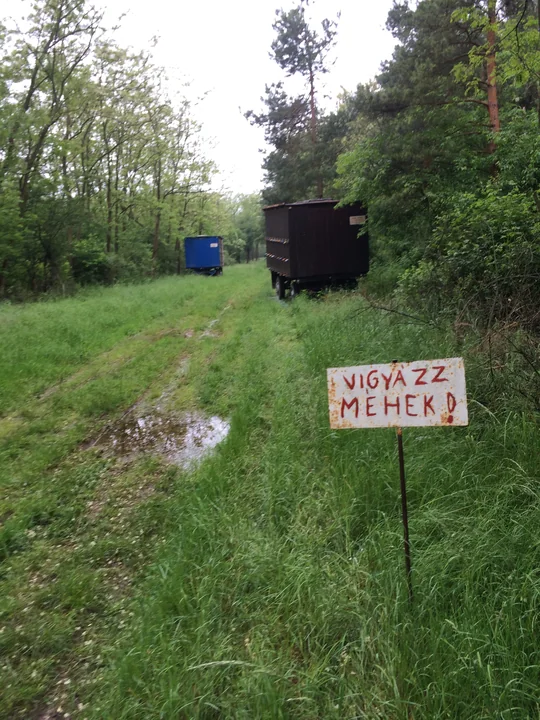 Etappe 29 · 18. Mai 2014