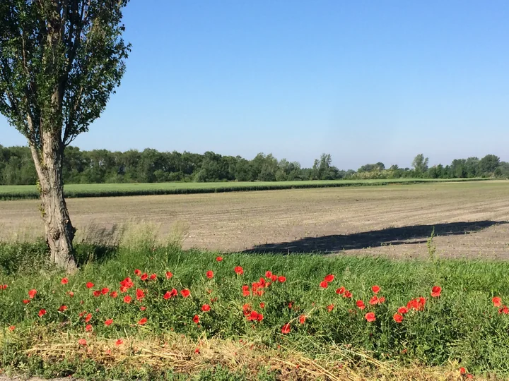 Etappe 31 · 21. Mai 2014