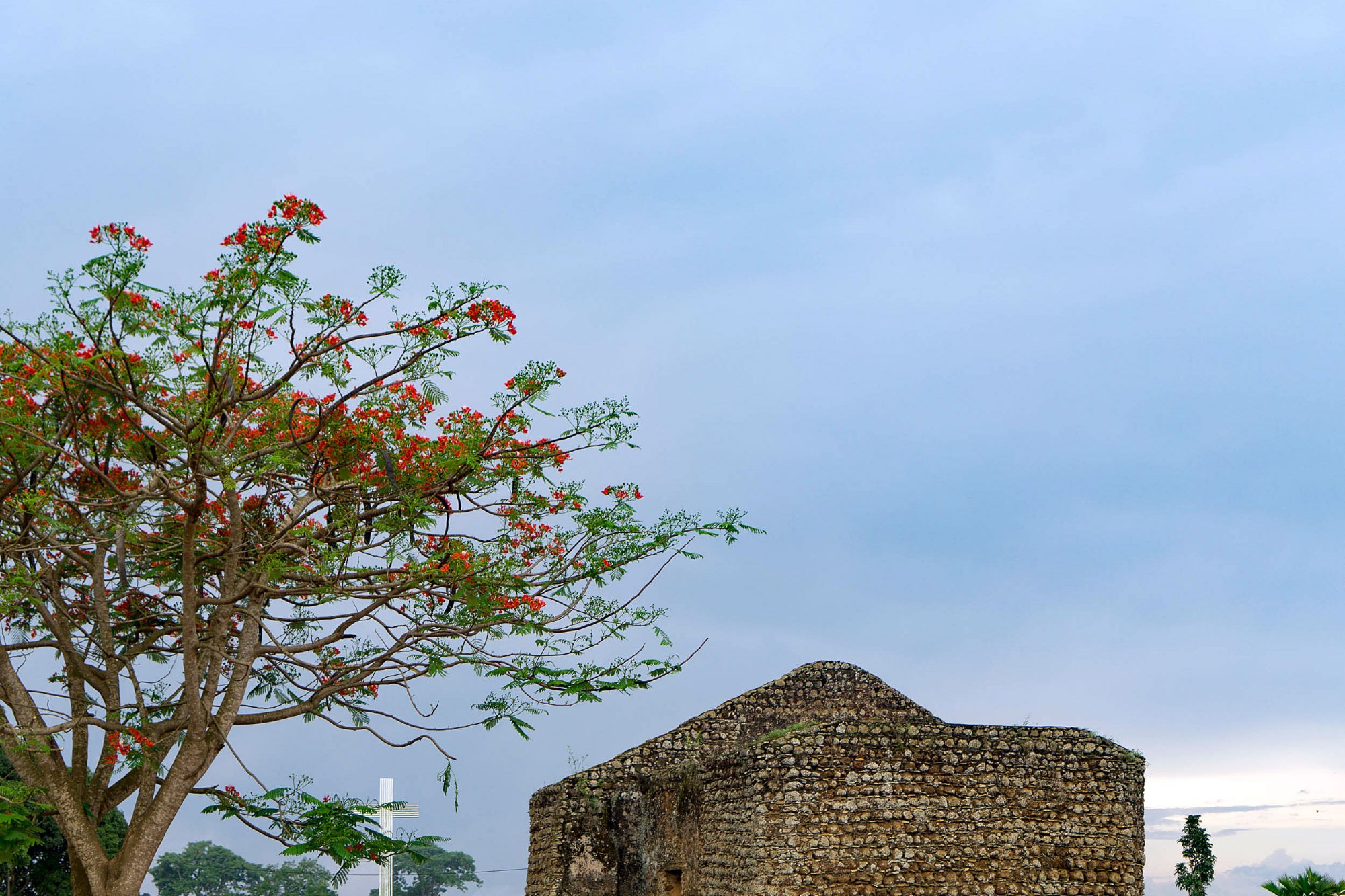 Die Ruine der alten Kathedrale