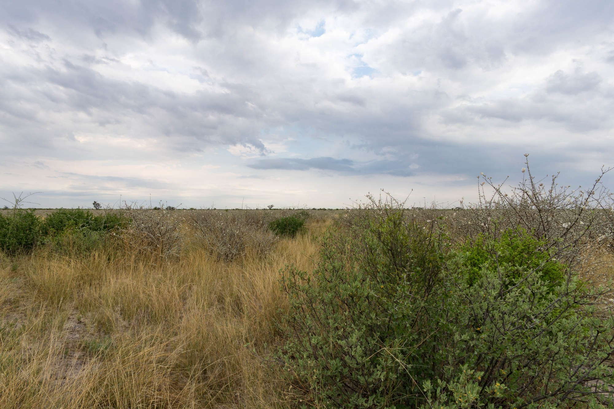Gewitterwolken