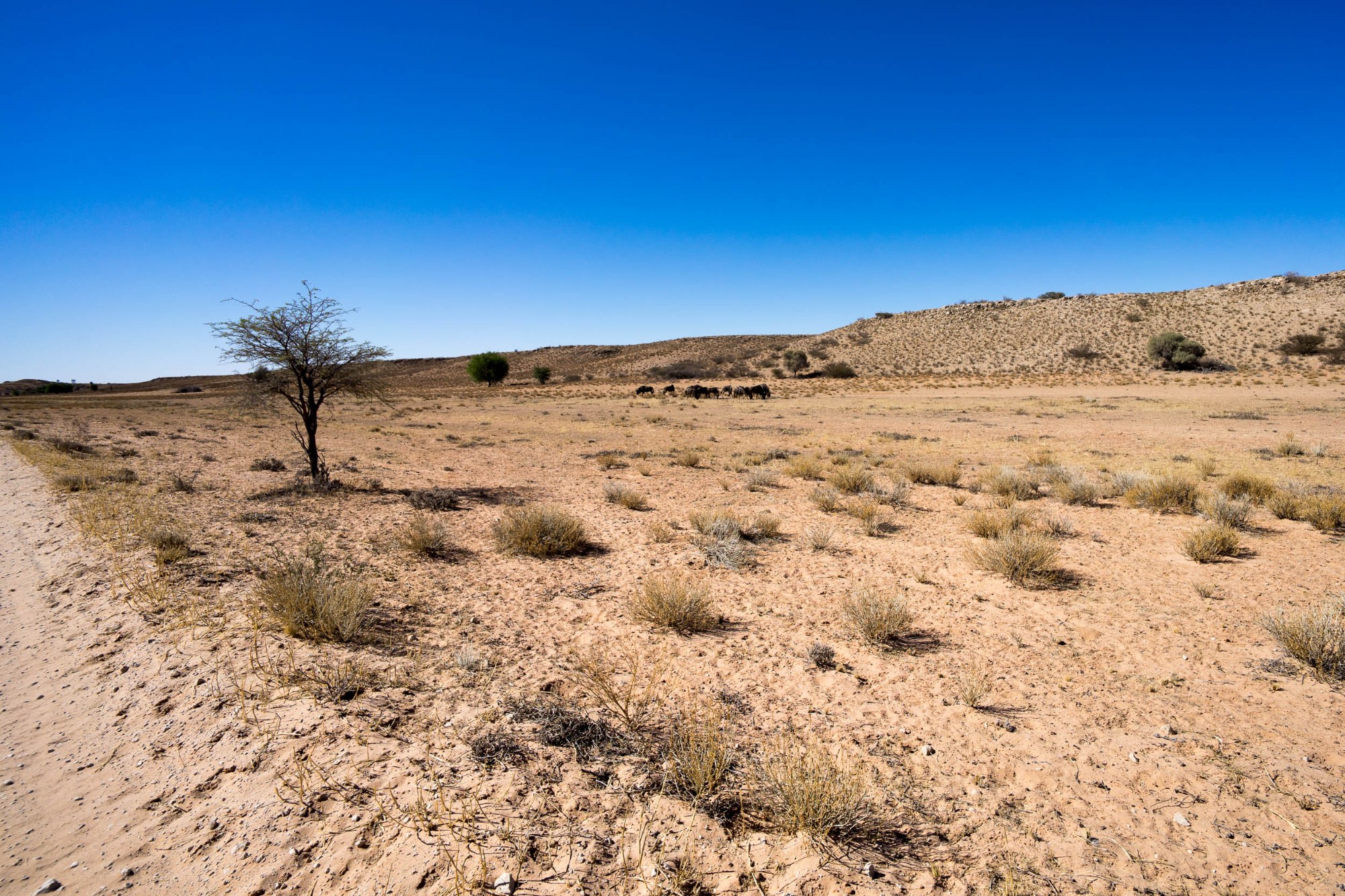Die Weite der Kalahari