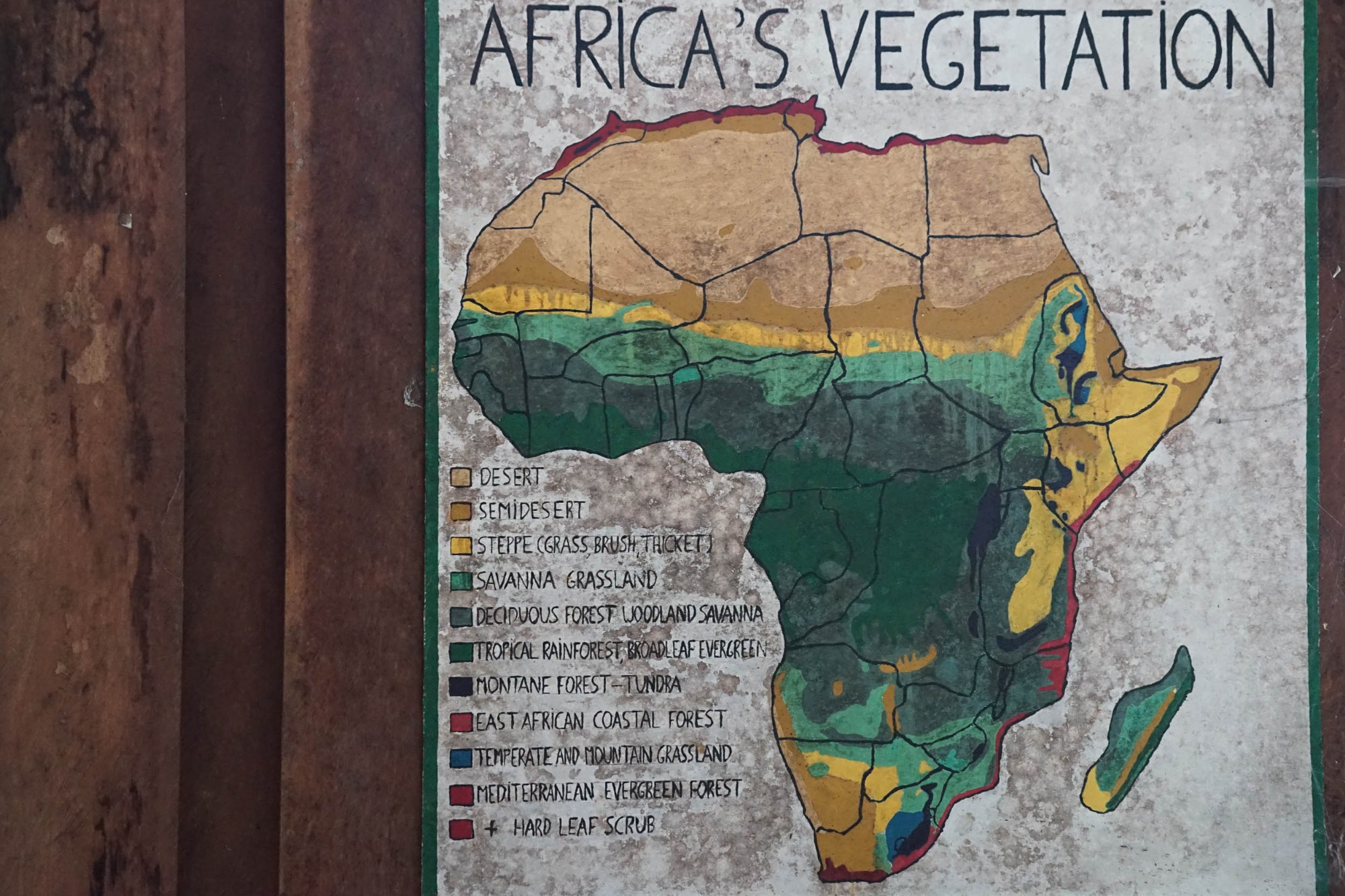 Die Vegetationszonen Afrikas