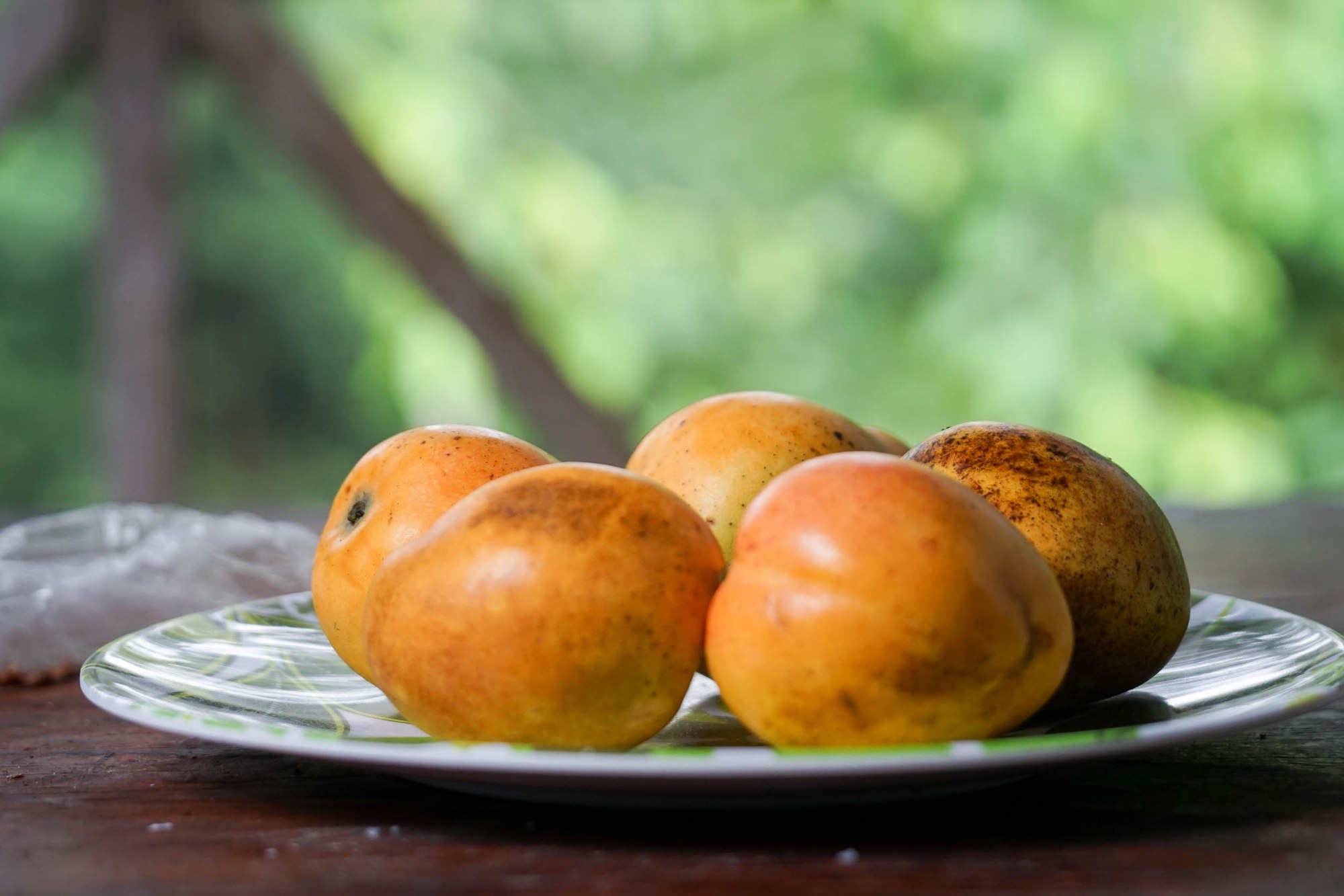 Frische Mangos
