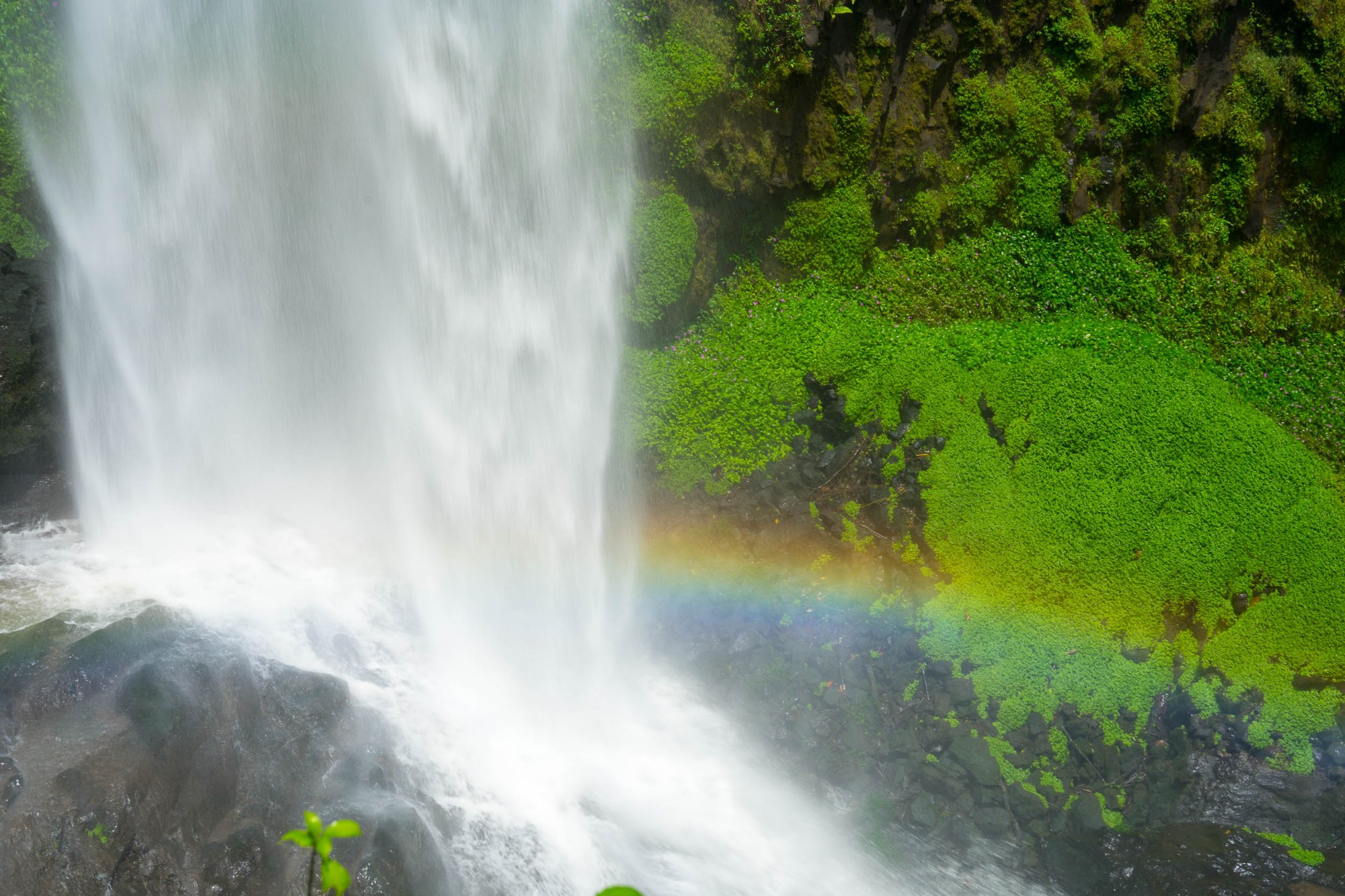 Gischt und Regenbogen
