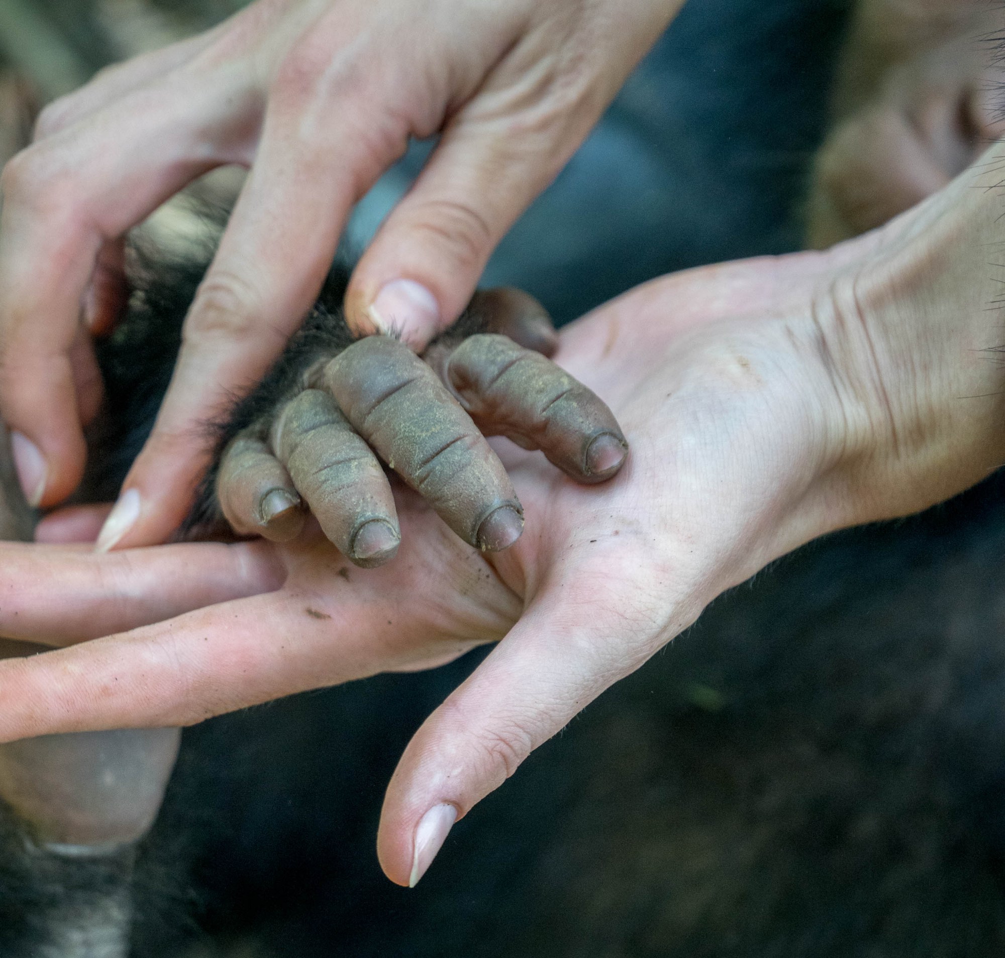 Eine Hand in unserer
