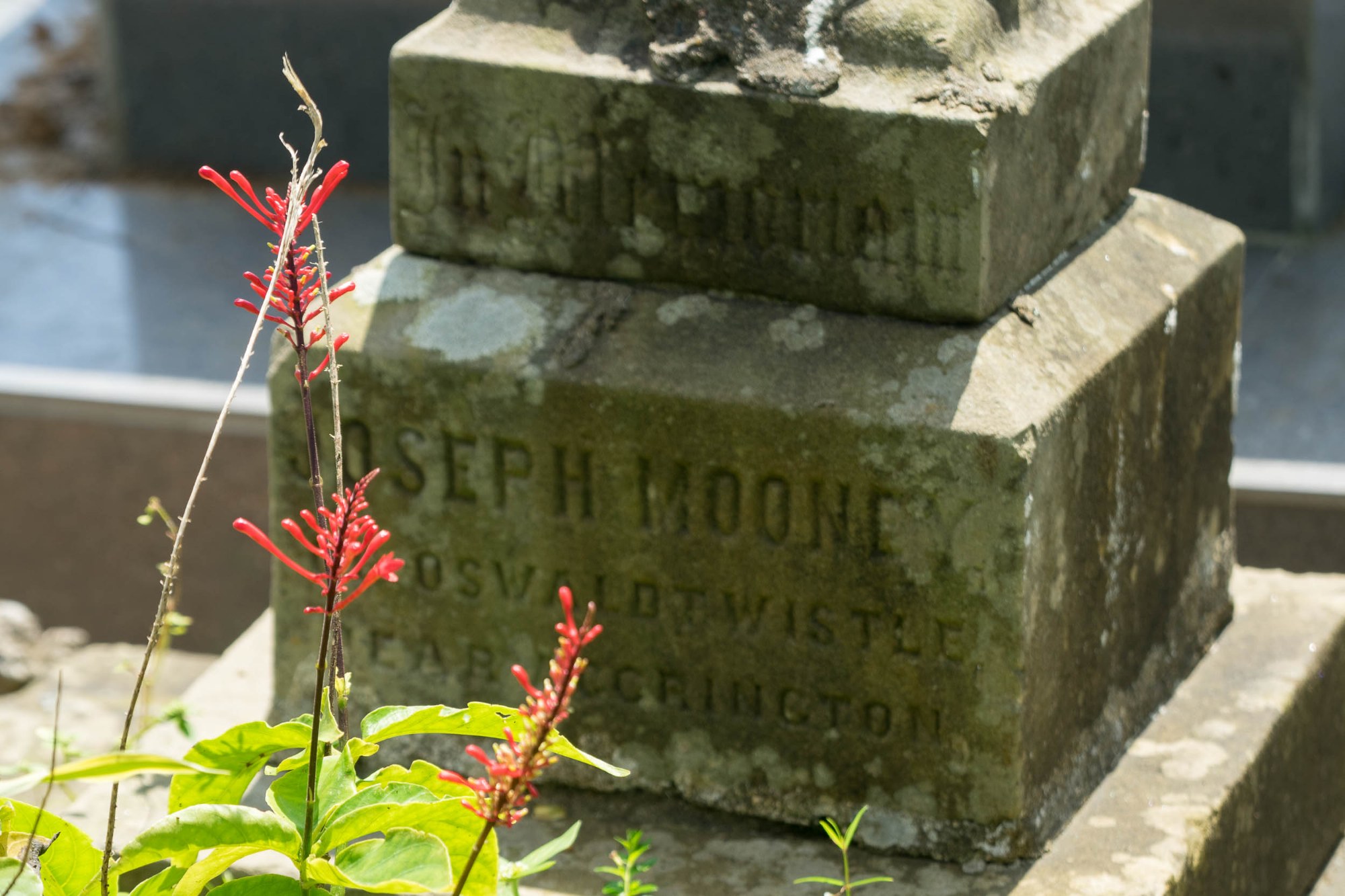 Auf dem Kolonialfriedhof