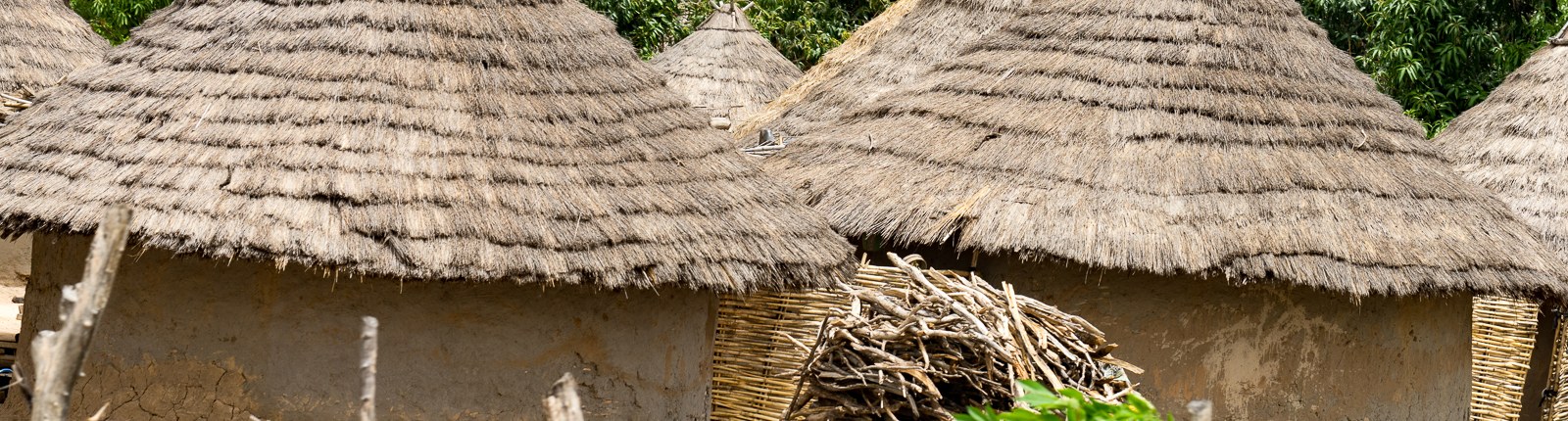 Strohgedeckte Hütten in Mali