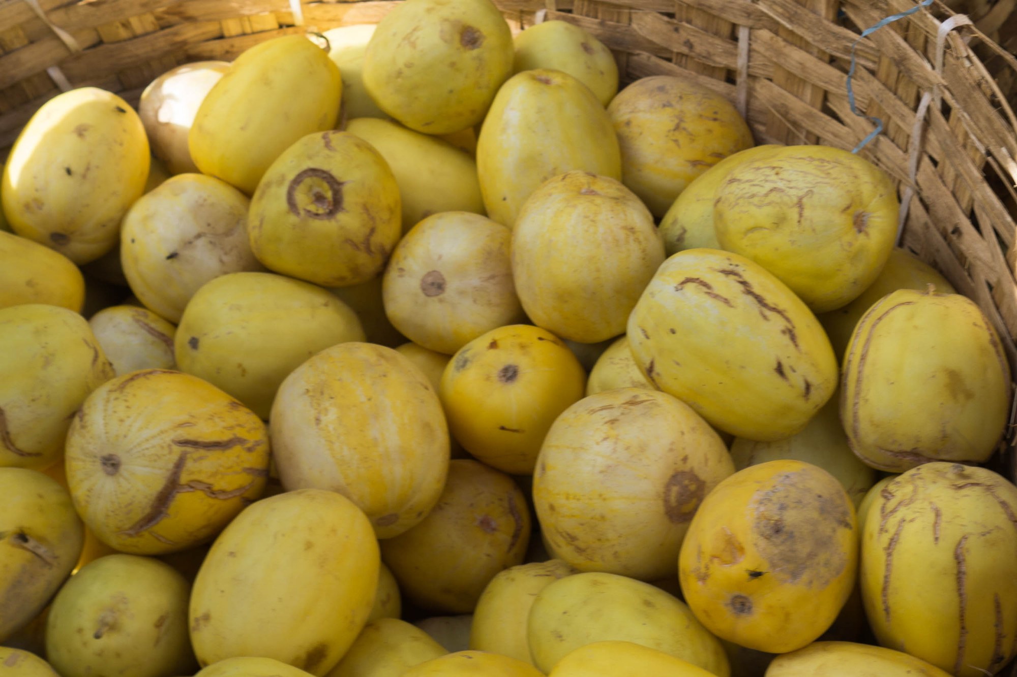Früchte auf dem Markt
