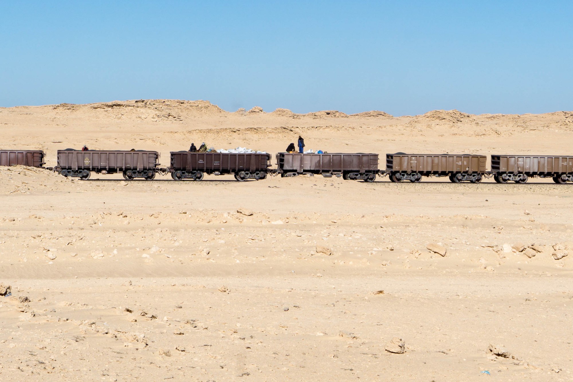 Waggons auf dem Weg zur Küste