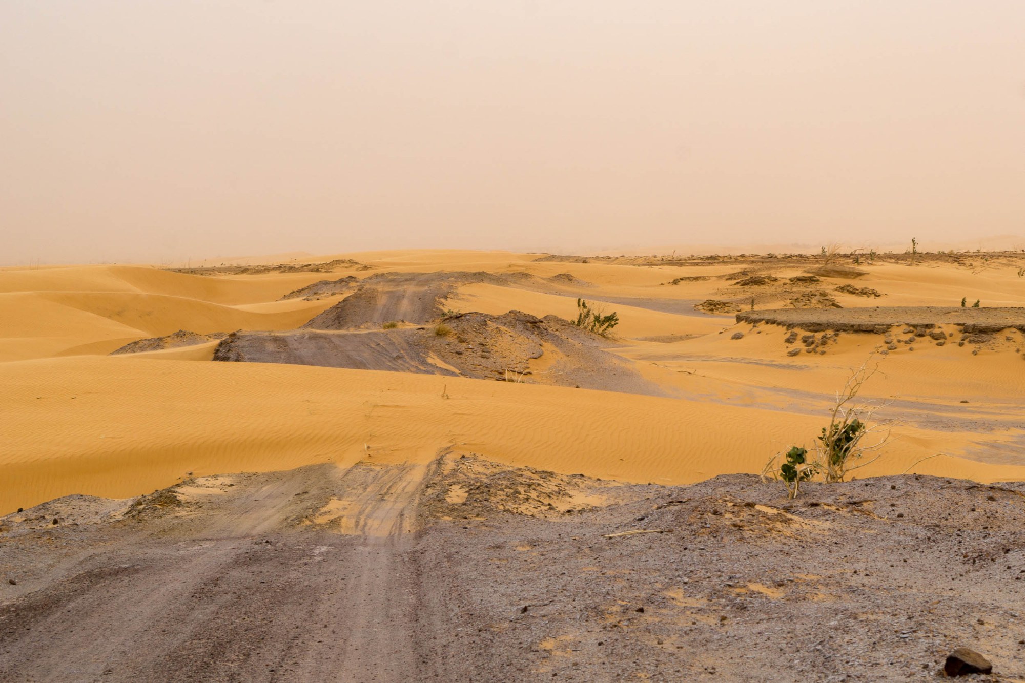 Sanddünen im Landesinneren