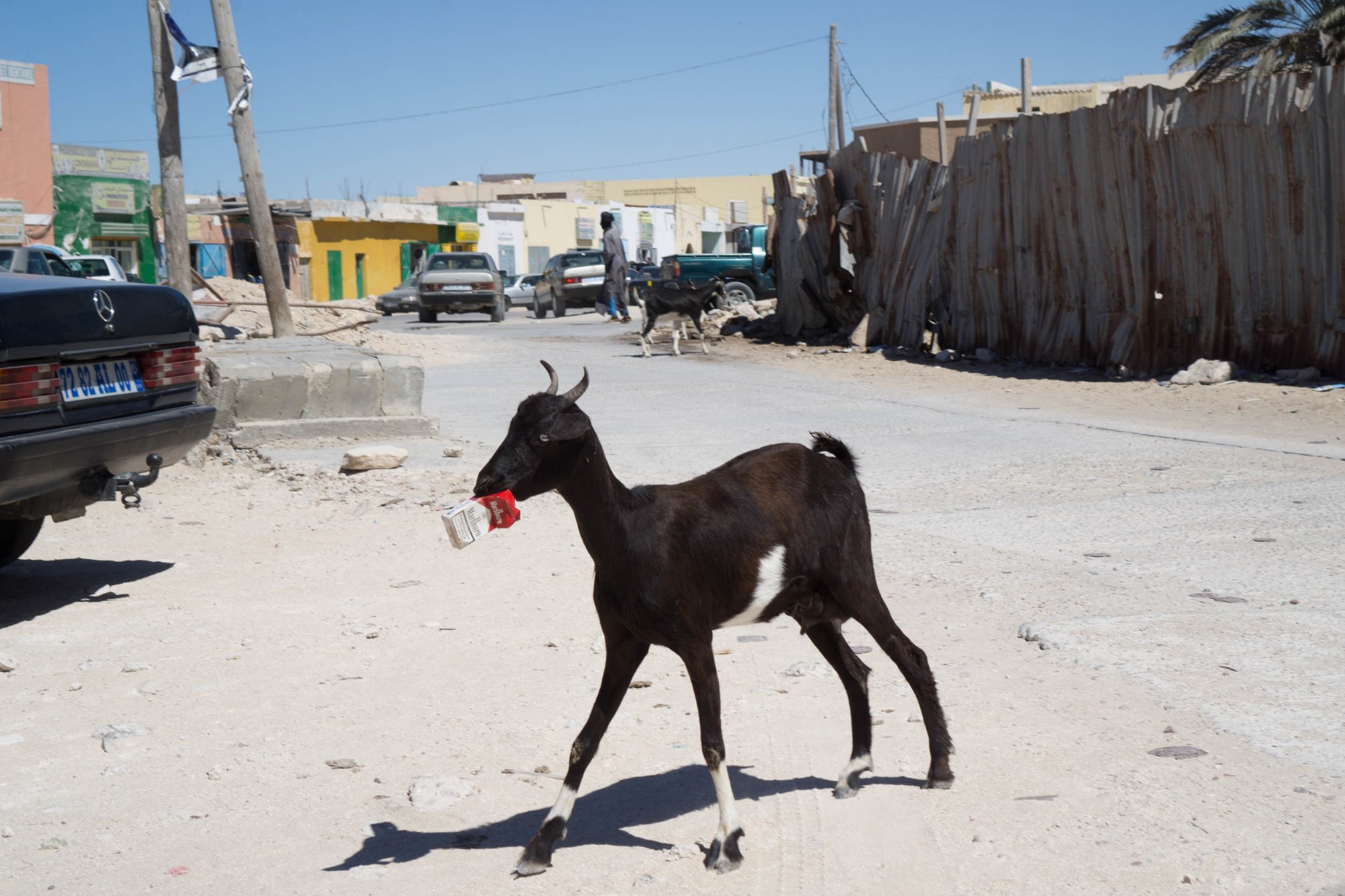 Unterwegs in Nouadhibou