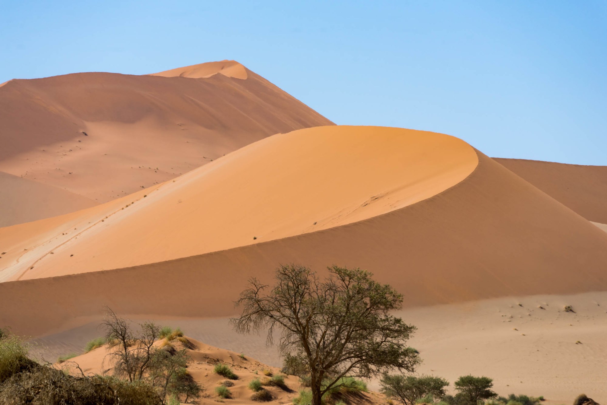 Die Dünen der Namib