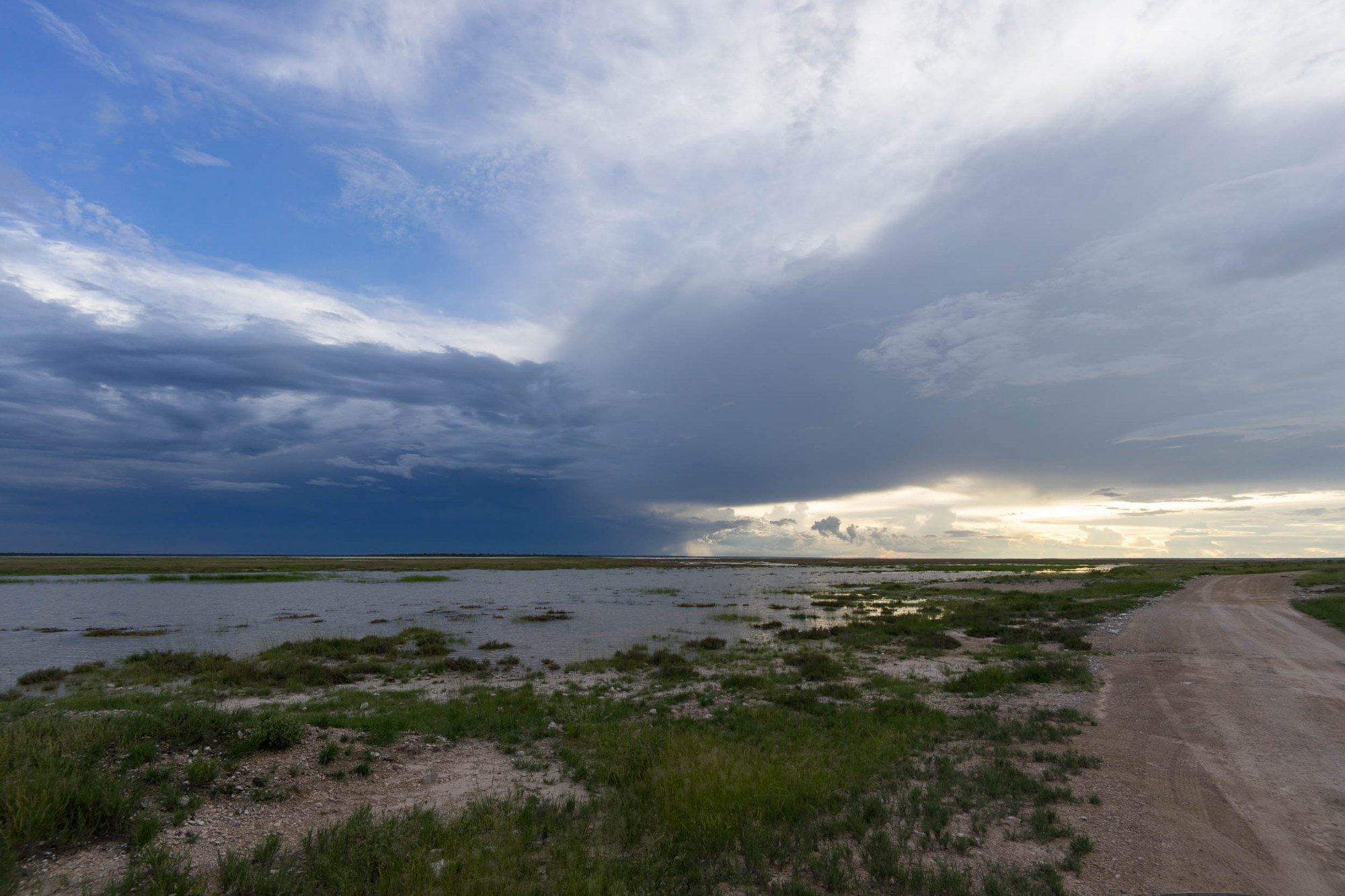 Wasser in Etosha