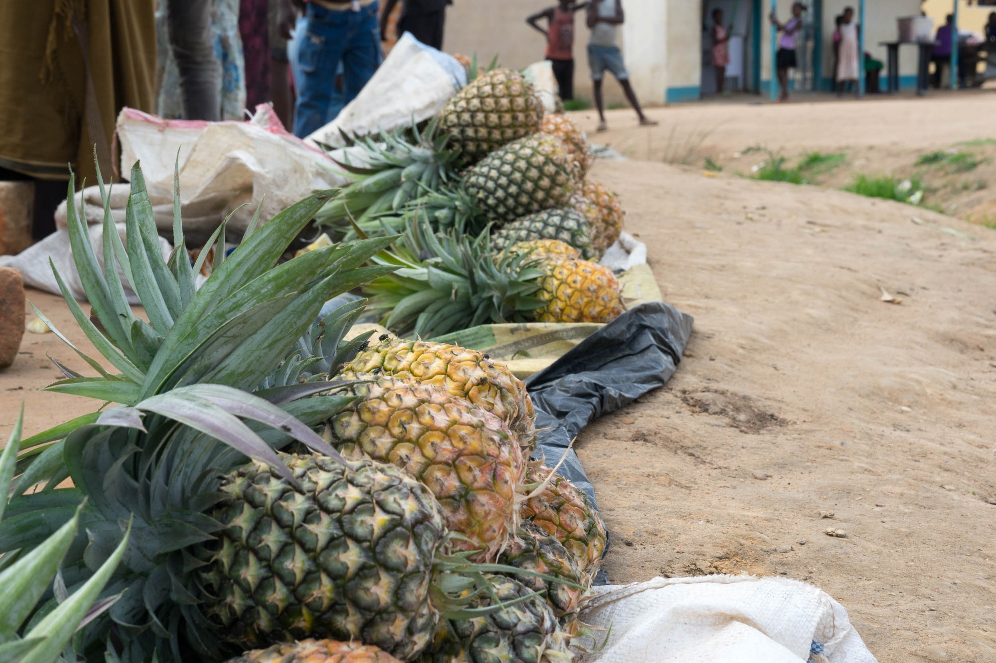 Ananas am Straßenrand