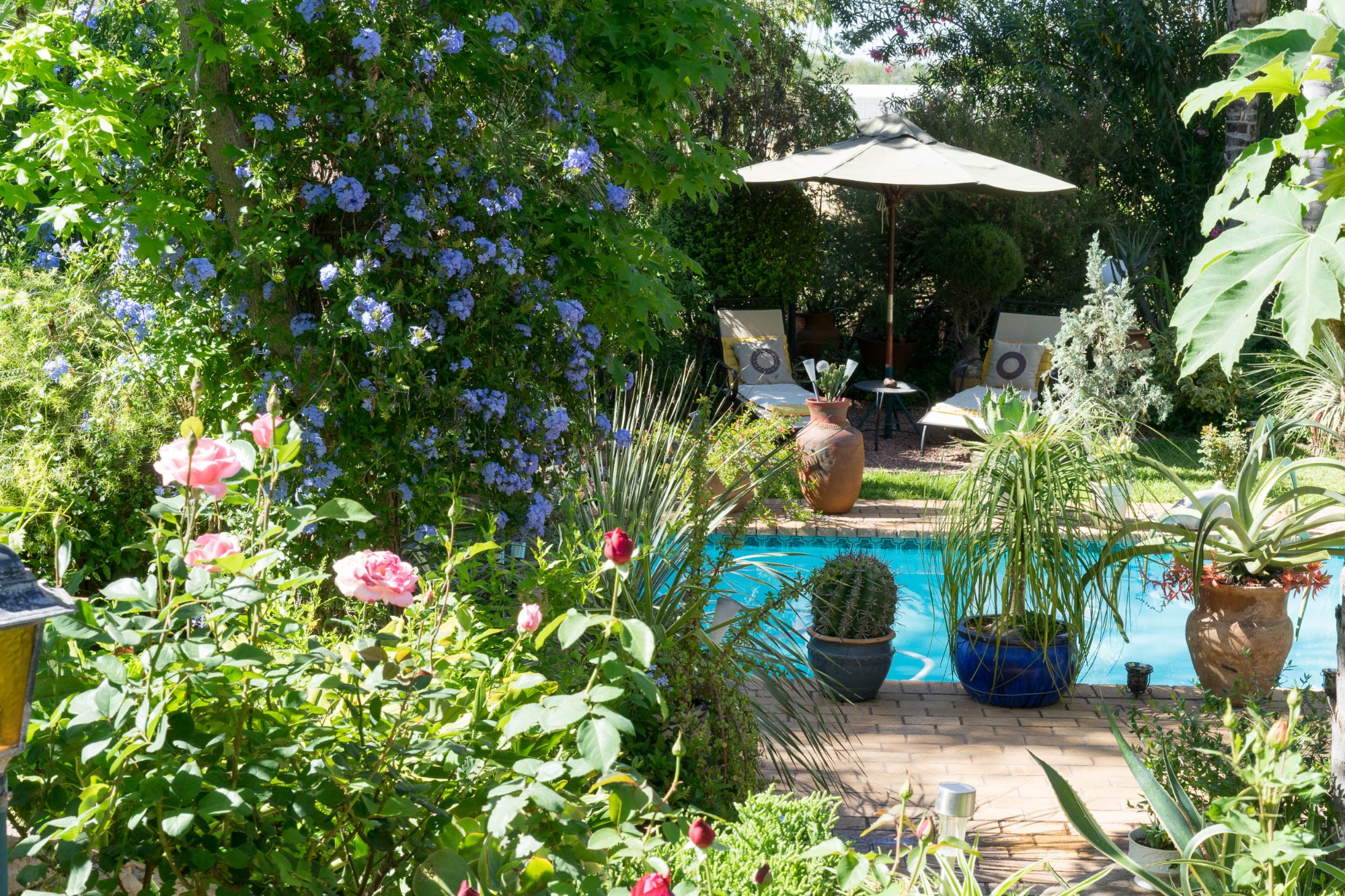 Jackies Garten