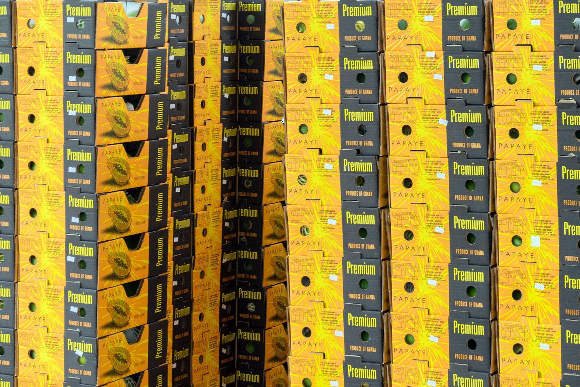 Früchte für den Export