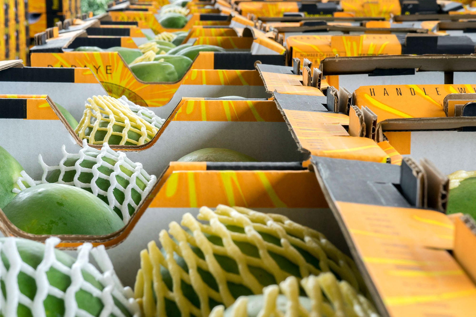 Papayas werden verpackt