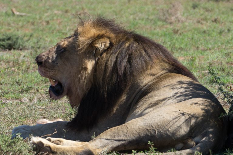 Südafrika Teil 2 · Aufnahme 17 aus unserer Reisegalerie