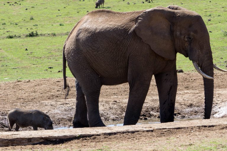 Südafrika Teil 2 · Aufnahme 21 aus unserer Reisegalerie