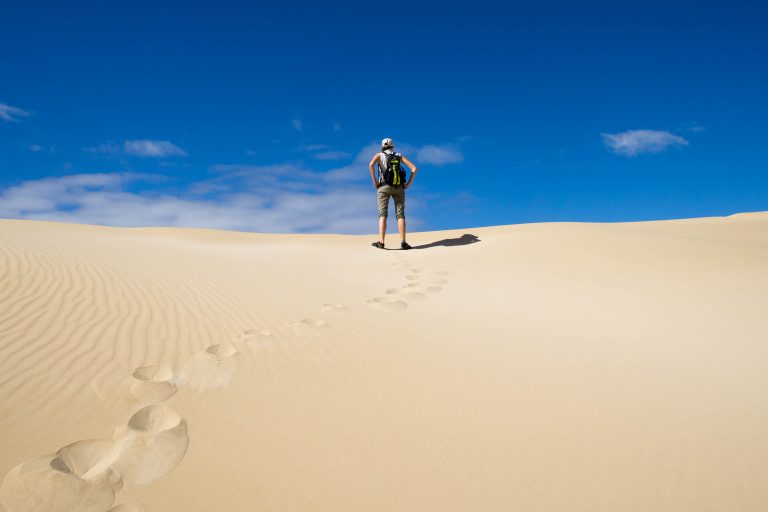 Südafrika Teil 2 · Aufnahme 26 aus unserer Reisegalerie