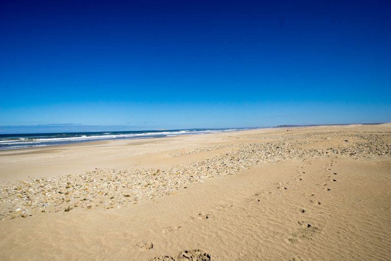 Südafrika Teil 2 · Aufnahme 27 aus unserer Reisegalerie